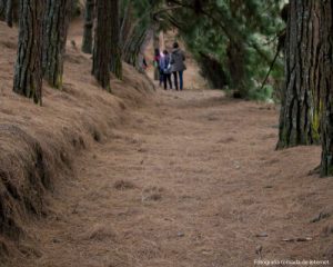 Parque represa forestal del Neusa